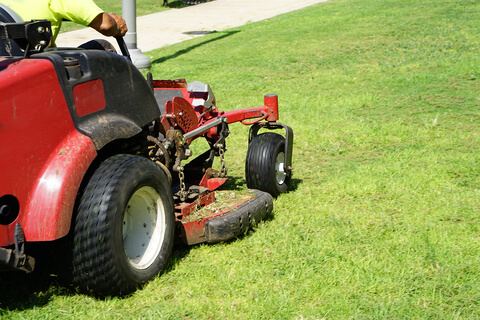 Landscaping/Lawn Care